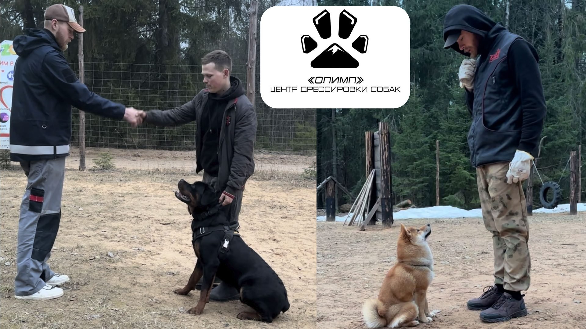 Владислав Гришанов