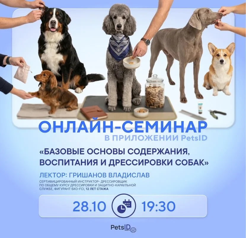 Базовые основы содержания, воспитания и дрессировки собак 1